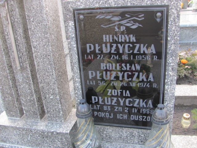 Bolesław Płużyczka 1909 Warka - Grobonet - Wyszukiwarka osób pochowanych