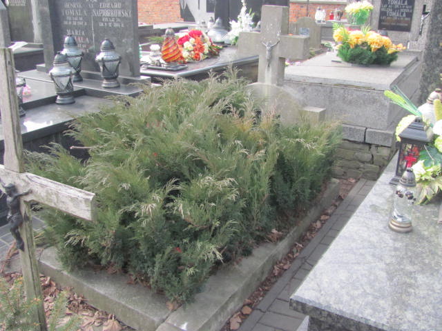 Grób Wiktoria Piotrowska