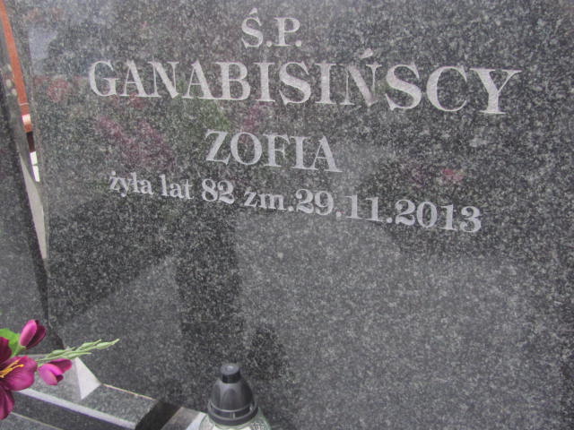 Henryk Ganabisiński 1929 Warka - Grobonet - Wyszukiwarka osób pochowanych