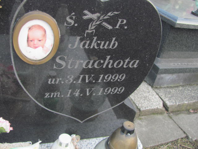  Wolny Grób Warka - Grobonet - Wyszukiwarka osób pochowanych